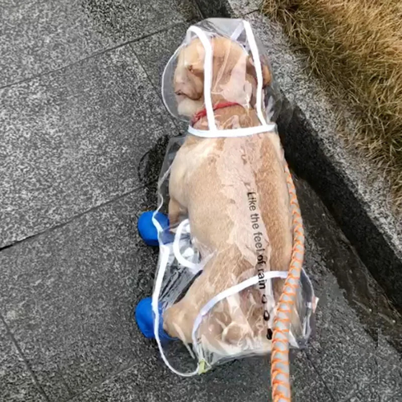 Dog Raincoat